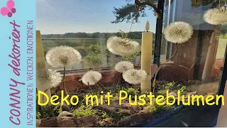 Pusteblumen konservieren / haltbar machen |natürliche Deko mit Pusteblumen