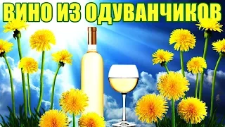 ВИНО ИЗ ОДУВАНЧИКОВ - РЕЦЕПТ