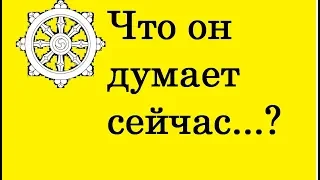 О чем он думает сейчас и что он думает о Вас...?  Правдивое гадание на Таро он-лайн