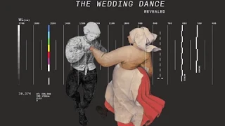 Bruegel's “The Wedding Dance” Revealed