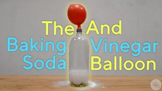 Baking Soda + Vinegar Balloon Experiment!