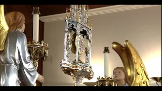 Holy Mass on Palm Sunday of the Lord's Passion - on EWTN