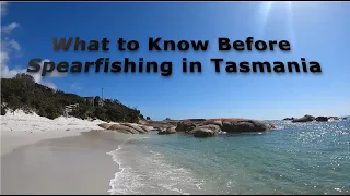 What to Know Before Spearfishing in Tasmania