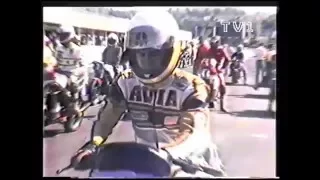 1986 Team Avia Campione d'Italia
