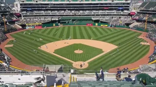 Seagulls getting rowdy in Oakland!