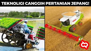 Saking Maju dan Canggihnya Pertanian di Jepang! Begini Cara Petani Mereka Menghasilkan Padi Terbaik