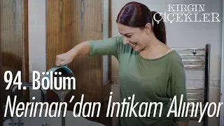 Neriman'dan intikam alınıyor! - Kırgın Çiçekler 94. Bölüm