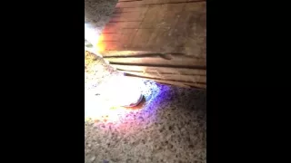 2000° Solar Power Lens - BURN STUFF