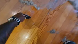UNBELIEVABLE acrylic wax removal build-up from these hardwood floors that's been covered up by wax