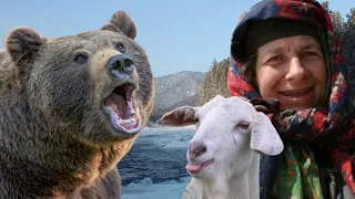 Медведь опять охотится на козу отшельников Лыковых. Агафья и Карп Лыковы чуть не умерли от холода
