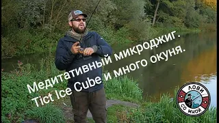 Медитативный микроджиг с Tict Ice Cube. Много окуня, без лишних слов.