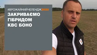 #ВРОЖАЙНИЙЧЕЛЕНДЖ2020 закриваємо гібридом КВС БОНО