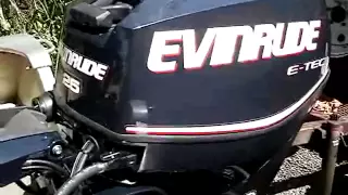 2010 Evinrude E-TEC 25 - First Start