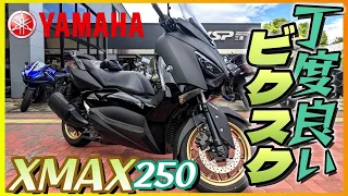 【ヤマハ】「XMAX250」試乗『パワーサイズ感丁度よいビクスク』【モトブログ】