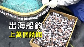 出海船釣，投下萬個魚鉤能有多少魚獲？