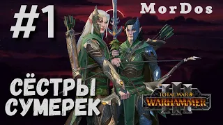 Лесные эльфы [#1] - Сестры Сумерек | TOTAL WAR WARHAMMER 3