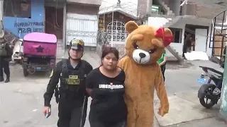 Teddy bear undercover cop arrests female drug dealer suspect in Peru