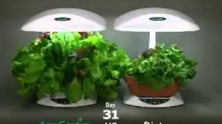 Aerogarden timelapse vs soil