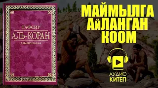 МАЙМЫЛГА АЙЛАНГАН КООМ (АСХАБУ САБТ) КУРАНДА КЕЛГЕН ОКУЯЛАР / АУДИО САБАК