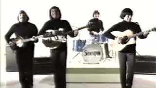 Shampoo - Peppe (Beatles-Cover-Help!)