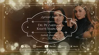 Dil Pe Zakham Khaye Hain Full Drama OST (LYRICS) | Nabeel Shaukat Ali, Hum Tv #hbwrites #dilpezakham