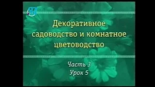 Цветы. Урок 3.5. Самые красивые однолетники. Часть 2