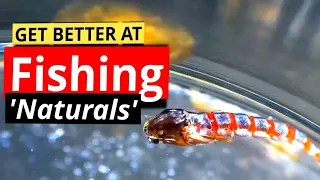 'How to' Fly Fishing With Buzzers for Trout