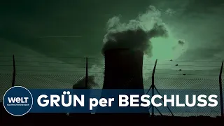 UMWELTSCHÜTZER EMPÖRT: EU will Investitionen in Atom- und Gaskraftwerke als grün einstufen