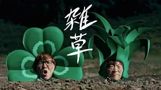 雑草 / ヒカキン＆セイキン