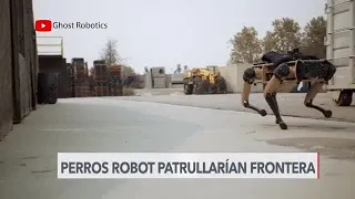 Perros robots podrían ayudar a proteger la frontera sur de EE. UU.