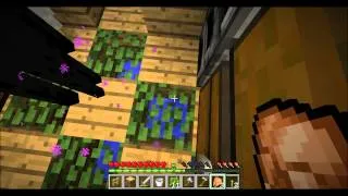 Minecraft:  The Awkward Roommate [Enderman]