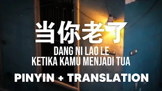 当你老了 Dang Ni Lao Le [Pinyin + Translate]