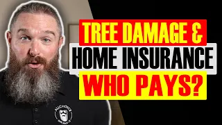 Home Insurance | Will Homeowners Insurance Cover Tree Damage?
