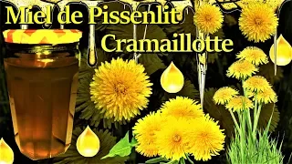 Comment faire du miel de Pissenlit (cramaillotte) ?