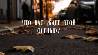 ЧТО ВАС ЖДЕТ ЭТОЙ ОСЕНЬЮ? Онлайн гадание прогноз Таро на Сентябрь Октябрь Ноябрь