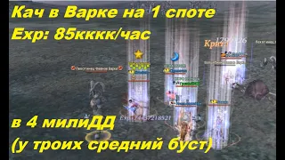 Кач в Варке, нож ПВ 114, 85 кккк опыта в час. Varka, Ketra, Lineage II.