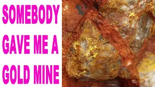 Someone found a patch of gold nuggets in outback Western Australia but walked away from a rich reef!