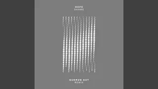 Shame (Gudrun Gut Remix)