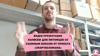 Видео-презентация колясок со съемным боксом для питомцев от проекта «СмартВеломама»