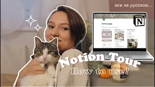 Как работать в Notion // Советы & Лайфхаки 📆📚✨