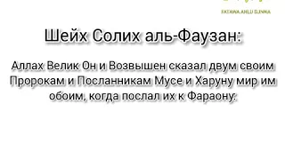 Как делать наставление правителям: Шейх Салих Аль Фавзан