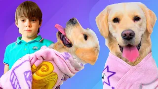 Bogdan Play with a Retriever Dog | Kid Take Care of Dog and Earn Money for Sister