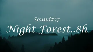 【ASMR風】8時間 自然音 落ち着く夜の森の音 8hour Nature Sounds of a night forest for Relaxing