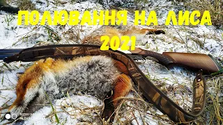 Полювання на лисицю 2021 Fox Hunting 🦊