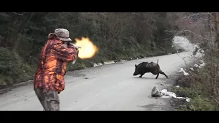 2023 YILININ EN GÜZEL DOMUZ AVLARI - THE BEST WILD BOAR HUNTS OF 2023