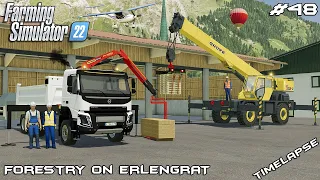 Building new PRODUCTION for PALLETS | Forestry on ERLENGRAT | Farming Simulator 22 | Episode 48