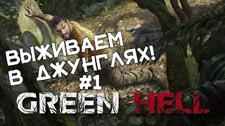 ВЫЖИВАЧ в джунглях! Все пытается нас убить! Прохождение Green Hell #1