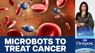 Seaweed Microbots Could One Day Treat Cancer. Here's How | Vantage with Palki Sharma