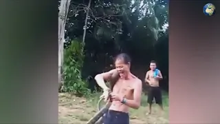 Мужчина погиб от укуса своей ядовитой змеи
