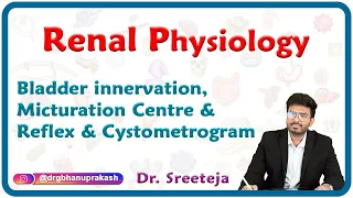 Bladder innervation, Micturation centre & Reflex and Cystometrogram : Renal physiology USMLE Step 1